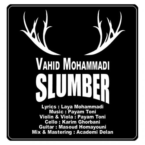 دانلود آهنگ خواب خرگوشی